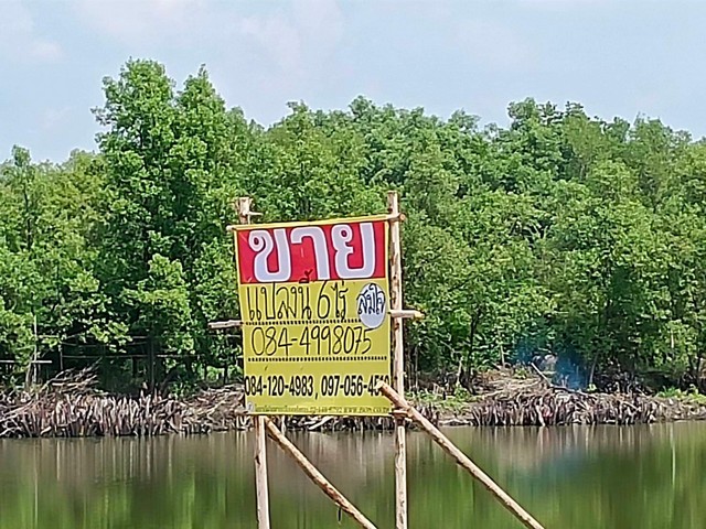 ขายที่ดินสวย ทำเลดี ติดถนนคอนกรีต เนื้อที่ 6ไร่ บ้านคลองสวน พระสมุทรเจดีย์