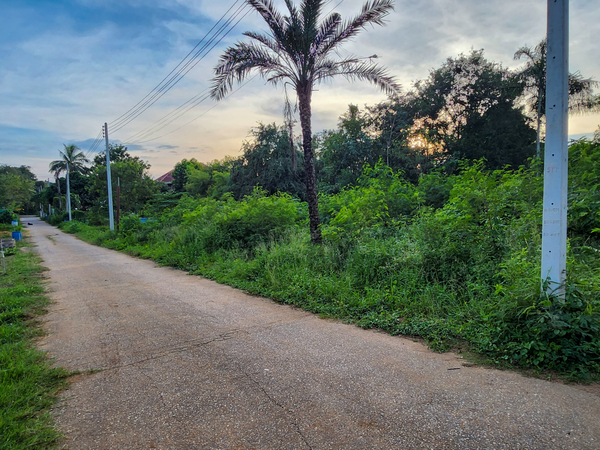 ขาย : ที่ดินโฉนด แปลงสวย โซนเขาใหญ่ ใกล้โบนันซ่า ราคาไม่ถึงล้าน !!!