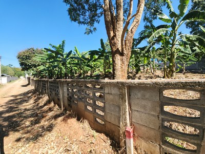 ขายที่ดิน วิวภูเขาสุดพิเศษ 300 ตร.วา (เขาใหญ่) เริ่มต้นเช้าวันใหม่ด้วยอากาศบริสุทธิ์และวิวภูเขา! ขายที่ดินเปล่าในทำเลที่ดีที่สุด