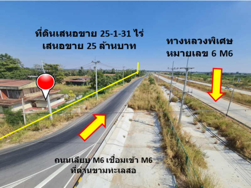 ขาย ที่ดิน ติดถนนสายขามทะเลสอ-โนนไทย ทล.2068 เชื่อมออกทางหลวงพิเศษ M6 ได้ เนื้อที่ 25 ไร่ 1 งาน 31 ตรว ราคายุติธรรม