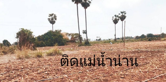 หาทรัพย์ดีต้อนรับปีใหม่ ติดแม่น้ำน่าน ชุมแสง จ.นครสวรรค์ 300000 บาท.วิวแม่น้ำเกษตรดีงามสวยสมบูรณ์