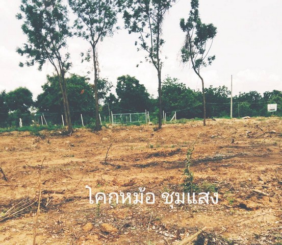 หาทรัพย์ดีต้อนรับปีใหม่ ติดแม่น้ำน่าน ชุมแสง จ.นครสวรรค์ 300000 บาท.วิวแม่น้ำเกษตรดีงามสวยสมบูรณ์