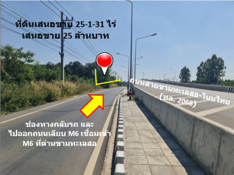 ขาย ที่ดิน ติดถนนสายขามทะเลสอ-โนนไทย ทล.2068 เชื่อมออกทางหลวงพิเศษ M6 ได้ เนื้อที่ 25 ไร่ 1 งาน 31 ตรว ราคายุติธรรม