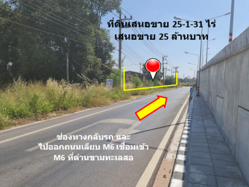 ขาย ที่ดิน ติดถนนสายขามทะเลสอ-โนนไทย ทล.2068 เชื่อมออกทางหลวงพิเศษ M6 ได้ เนื้อที่ 25 ไร่ 1 งาน 31 ตรว ราคายุติธรรม