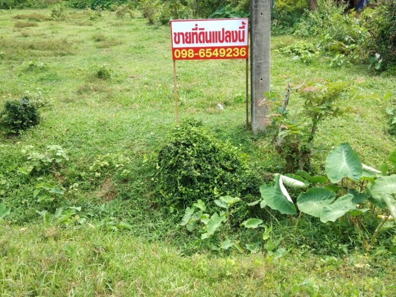 ขายที่ดินขนาด 1 งาน 55 ตร.วา ต.นาข้าวเสีย อ.นาโยง จ.ตรัง