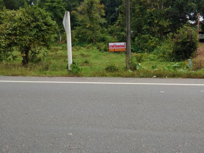 ขายที่ดินขนาด 1 งาน 55 ตร.วา ต.นาข้าวเสีย อ.นาโยง จ.ตรัง