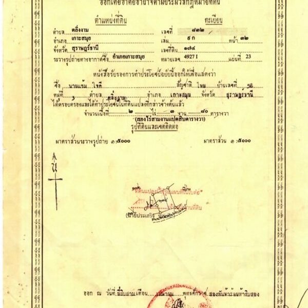 ขายที่ดิน พื้นที่ 2-2-75 ไร่ ต.ตลิ่งงาม อ.เกาะสมุย จ.สุราษฎร์ธานี (เจ้าของขายเอง) ทำเลดี บรรยากาศดี โทร. 084-732-2086