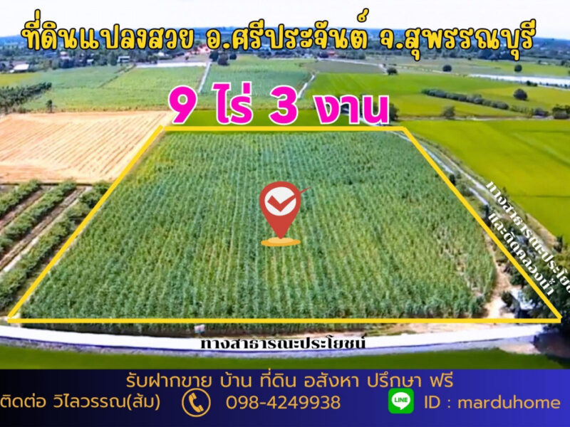 ขาย ที่ดิน ต.ดอนปรู อ.ศรีประจันต์ จ.สุพรรณบุรี NO 9 ไร่ 3 งาน 5 ตรว ทำเกษตรในยามเกษียณ
