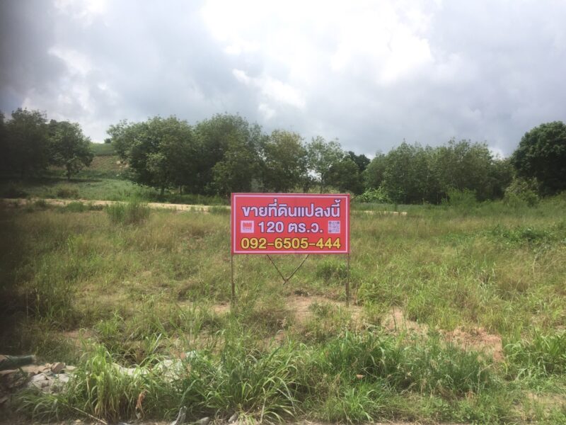 ขาย ที่ดินแปลงสวยๆ ทำเลรีสอร์ท วิวภูเขา สำหรับผู้รักธรรมชาติ ขนาด 120 ตร.วา ต.มะขามคู่ อ.นิคมพัฒนา จ.ระยอง โฉนดครุฑแดงพร้อมโอน