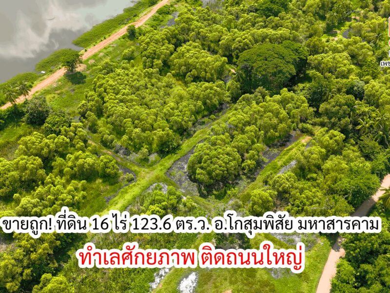 ขายถูก ที่ดิน 16 ไร่! ทำเลศักยภาพ ติดถนนใหญ่ พร้อมวิวบึงหนองบอนและสวนสาธารณะ