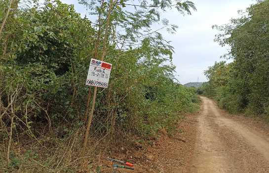 ที่ดินติดเนินเขา 33-3-72 ไร่ แก่งกระจาน ถนนสาธารณะรอบ