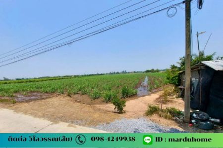 ขาย ที่ดิน ต.ดอนปรู อ.ศรีประจันต์ จ.สุพรรณบุรี NO 9 ไร่ 3 งาน 5 ตรว ทำเกษตรในยามเกษียณ