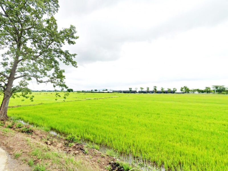 ขาย ที่ดิน เมืองลพบุรี ชุมชนบ้านนิคมหมู่ 8 สามัคคี 17 ไร่ วิวภูเขา บรรยากาศดี เหมาะทำจัดสรร