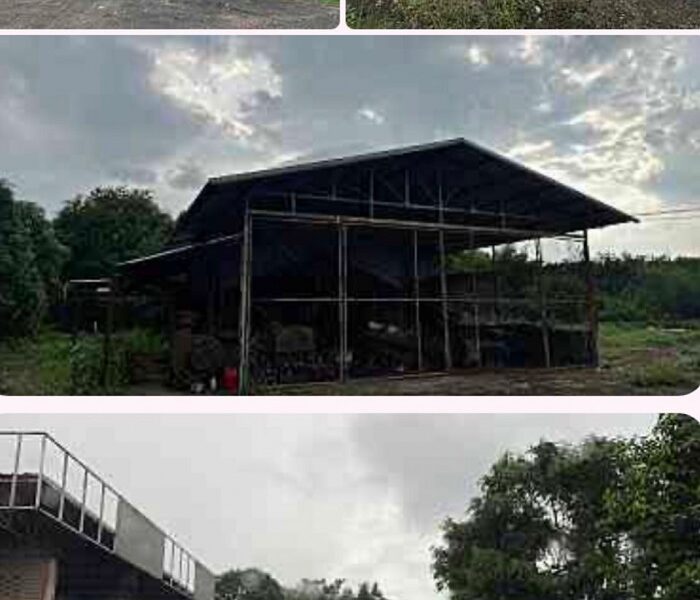 ขายที่ดินติดถนนอุดรธานี - หนองบัวลำภู