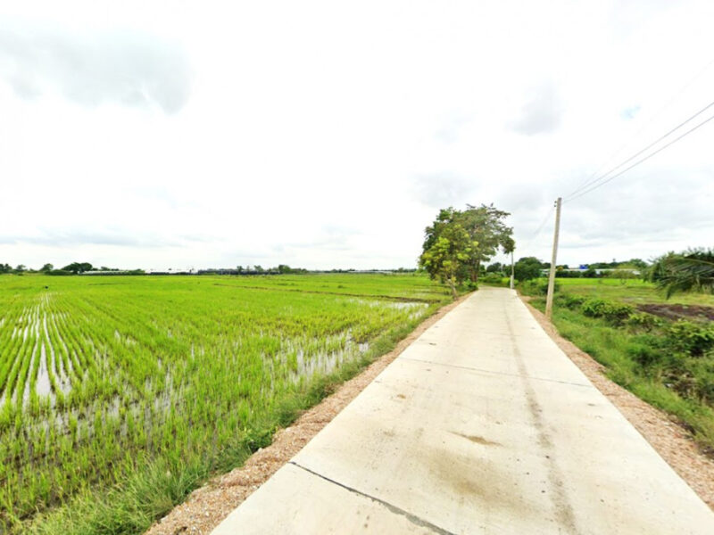ขาย ที่ดิน เมืองลพบุรี ชุมชนบ้านนิคมหมู่ 8 สามัคคี 17 ไร่ วิวภูเขา บรรยากาศดี เหมาะทำจัดสรร
