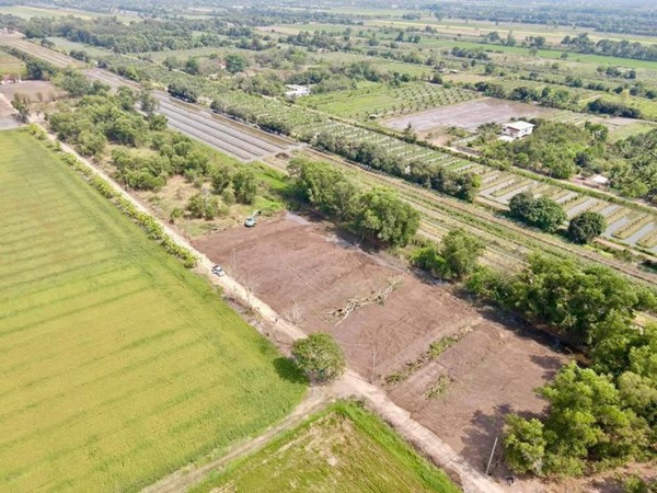 ที่ดินถมแล้วน้ำไฟพร้อม -คนขายก็พร้อมที่ -หนองเสือ คลองสิบ -ปทุมธานี. T.062-1574449