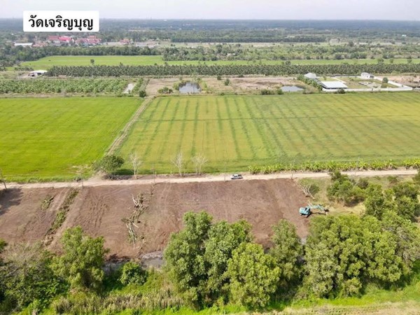 ที่ดินถมแล้วน้ำไฟพร้อม -คนขายก็พร้อมที่ -หนองเสือ คลองสิบ -ปทุมธานี. T.062-1574449