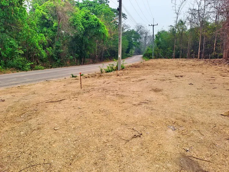 ที่ดินตำบลพิชัย หลัง รพ.ค่ายฯ เมืองลำปาง ทำเลสวย เพียง ต.ร.ว.ละ 5,000 บาท