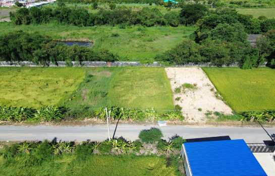 ขาย ที่ดิน แปลงสวยซอยเลียบคลองโยง 1 งาน 29 ตร.วา ติดถนนเชื่อมเลียบคลองโยงกับประชาอุทิศ เหมาะสำหรับปลูกบ้าน-สร้างโกดัง-ออฟฟิศ