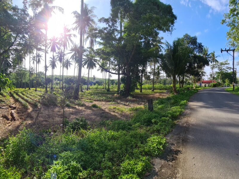 ขายที่ดินภูเก็ตใกล้หาด