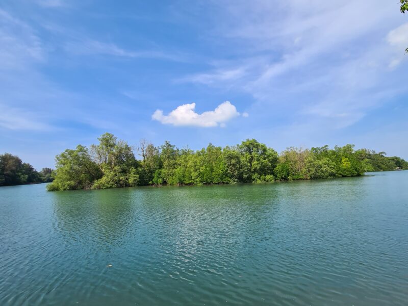 ขายที่ดินภูเก็ต