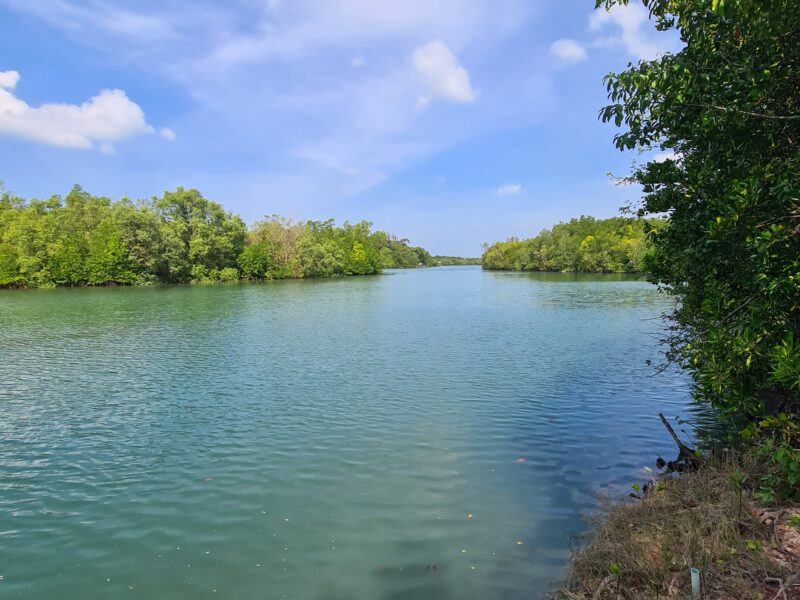ขายที่ดินภูเก็ต