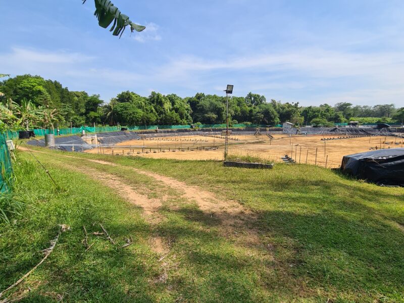 ขายที่ดินภูเก็ต