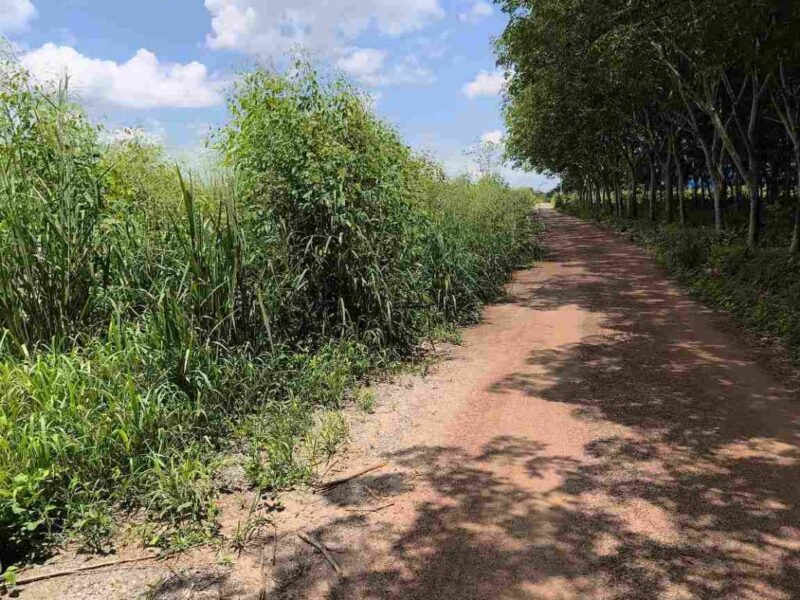 ขายที่ดินแปลงใหญ่ จ.ชลบุรี – พร้อมพัฒนา