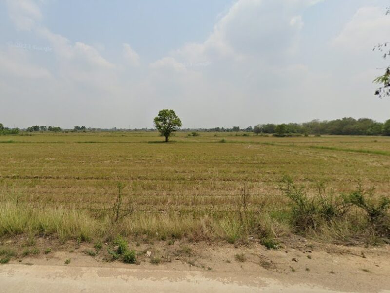 ขายด่วนที่ดิน ติดถนนวัดกลางคลองหลวง-ไร่หลักทอง ที่สวยมาก ๆๆ