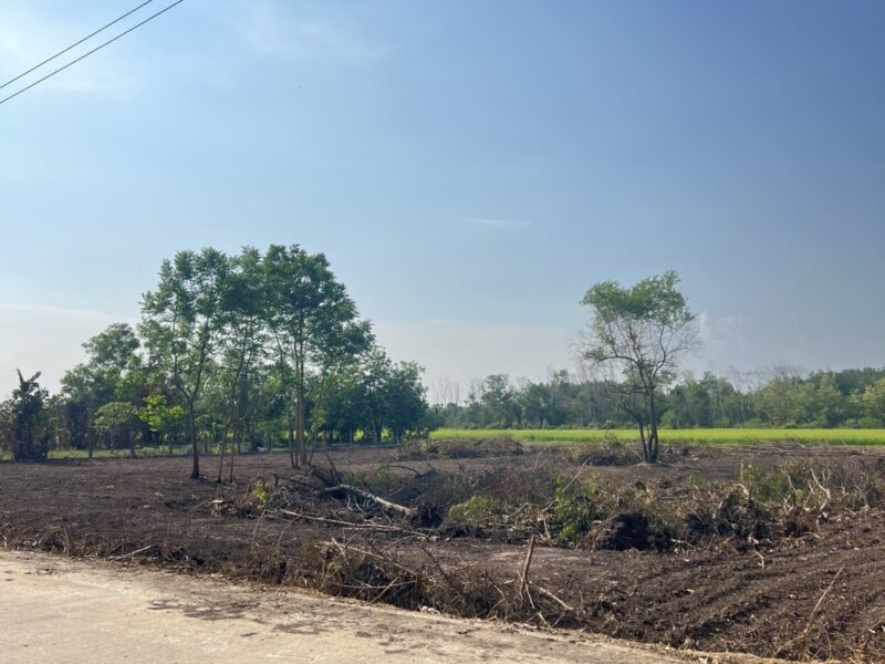 ขายที่ดิน 2 ไร่ คลองหก ปทุมธานี ราคาถูกสุดในย่านนี้