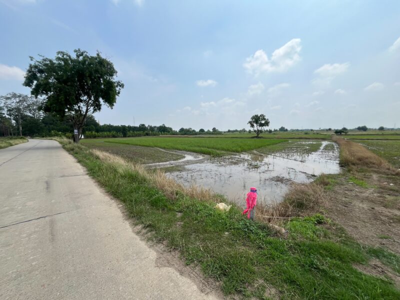 🌳 ที่ดินแปลงงาม วิวธรรมชาติ เดินทางสะดวก 🌳 📍 ติดถนนใหญ่ ไร่หลักทอง – วัดกลางคลองหลวง จ.ชลบุรี / อ.พนัสนิคม