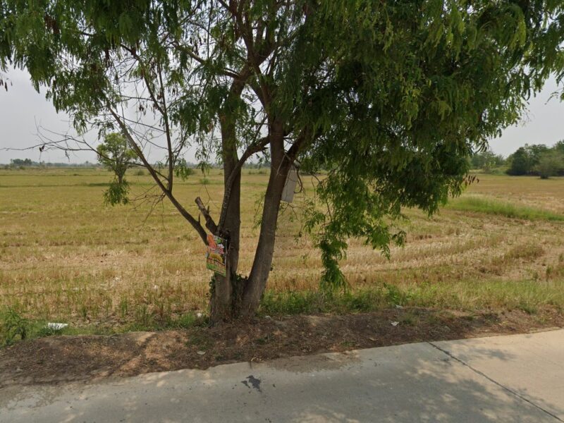 ด่วน! ที่ดินสวย ทำเลทอง พนัสนิคม แปลงใหญ่ ราคาน่ารัก