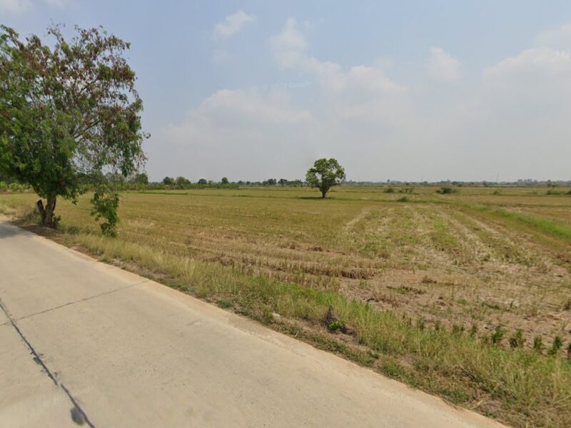 ด่วน! ที่ดินสวย ทำเลทอง พนัสนิคม แปลงใหญ่ ราคาน่ารัก