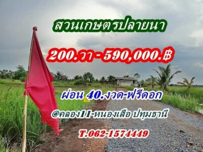 ที่ดินสวนเกษตร ชายทุ่ง ไม่ไกลกรุงแค่คลอง11 หนองเสือ ผ่อนได้สบายใจ- T.062-1574449