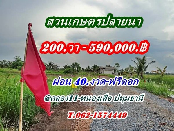 ที่ดินสวนเกษตร ชายทุ่ง ไม่ไกลกรุงแค่คลอง11 หนองเสือ ผ่อนได้สบายใจ- T.062-1574449