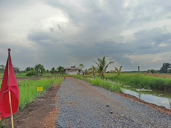 ที่ดินสวนเกษตร ชายทุ่ง ไม่ไกลกรุงแค่คลอง11 หนองเสือ ผ่อนได้สบายใจ- T.062-1574449