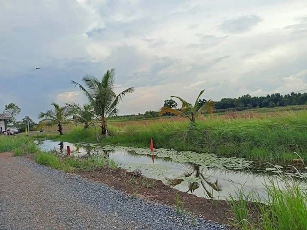 ที่ดินสวนเกษตร ชายทุ่ง ไม่ไกลกรุงแค่คลอง11 หนองเสือ ผ่อนได้สบายใจ- T.062-1574449