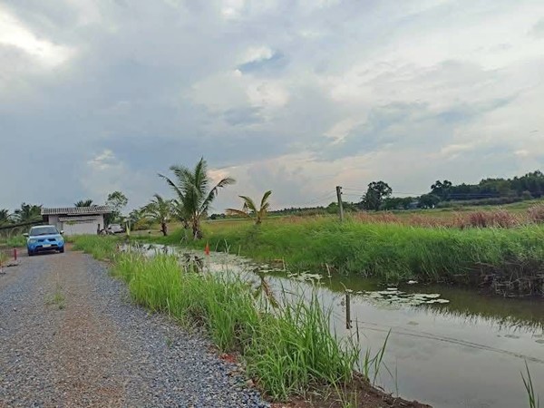 ที่ดินสวนเกษตร ชายทุ่ง ไม่ไกลกรุงแค่คลอง11 หนองเสือ ผ่อนได้สบายใจ- T.062-1574449