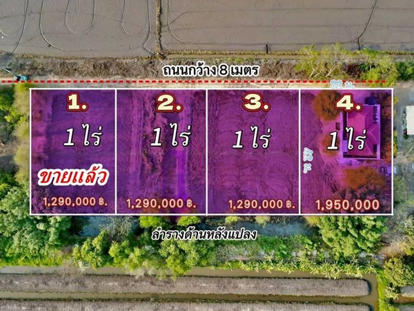 ที่สวยมากหน้าแปลงวิวชายทุ่งหลังแปลงติดน้ำที่ดินถมแล้วทำเลงามบรรยากาศบ้านสวนที่คลองสิบ.- T.062-1574449
