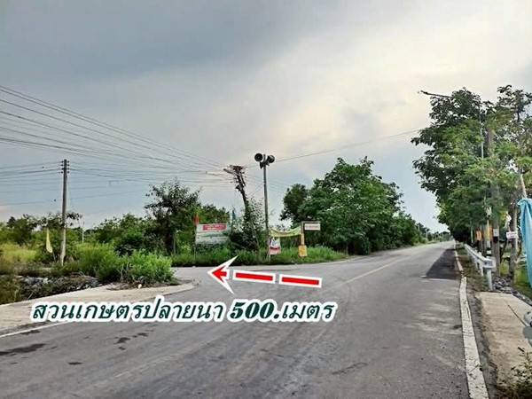 ที่ดินสวนเกษตร ชายทุ่ง ไม่ไกลกรุงแค่คลอง11 หนองเสือ ผ่อนได้สบายใจ- T.062-1574449