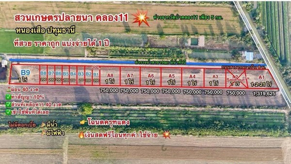 ที่ดินสวนเกษตร ชายทุ่ง ไม่ไกลกรุงแค่คลอง11 หนองเสือ ผ่อนได้สบายใจ- T.062-1574449