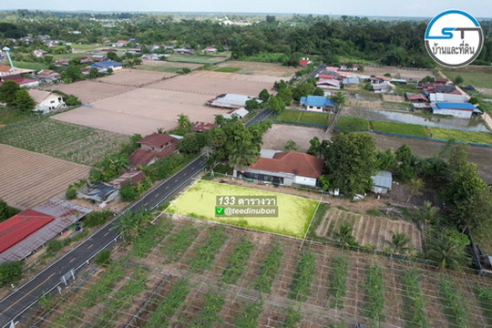 ที่ดินแปลงสวยติดลาดยาง 133 ตรว. บ้านเกษตร ต.คำขวาง
