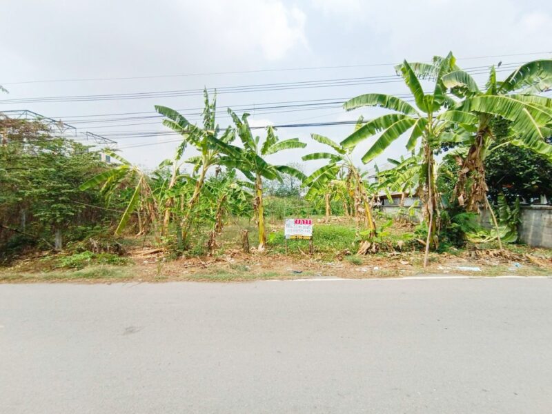 ขายที่ดิน 120 ตรว.ถมแล้ว ซอยคลองสาม 6/5 (ซอยทรัพย์สำราญ) คลองหลวง ปทุมธานี