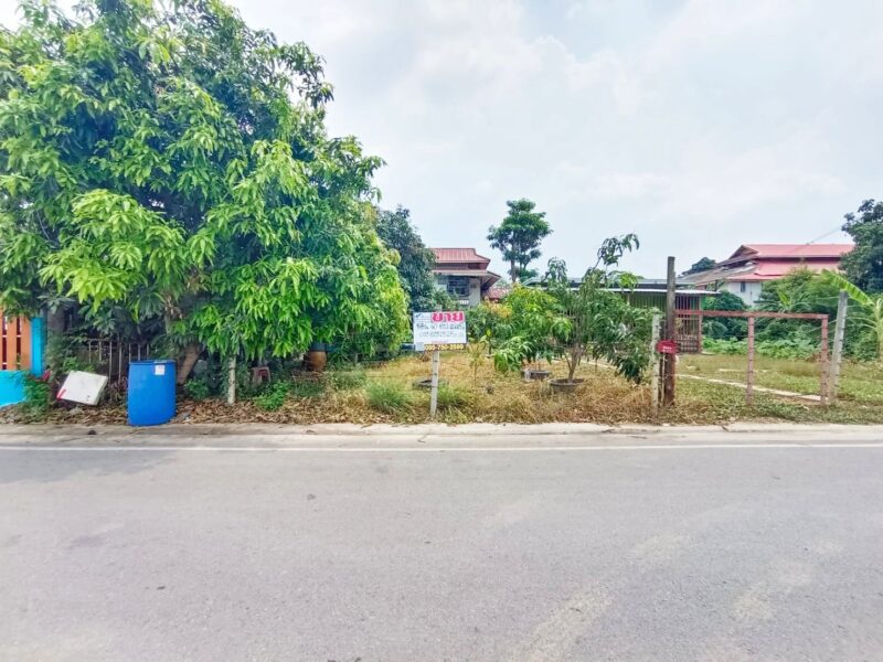 ขายที่ดิน 60 ตรว.ถมแล้ว ซอยคลองสาม 6/5 (ซอยทรัพย์สำราญ) คลองหลวง ปทุมธานี