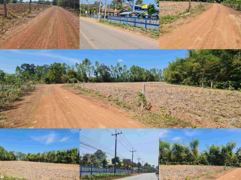 ขายที่สวน ปลูกผลไม้ได้ ทำเลดี บรรยากาศร่มรื่น 📍 พื้นที่เริ่มต้น 2 งาน 💸 ราคาเพียง 200,000 บาท 📌 ที่ดินเหมาะสำหรับปลูกผลไม้ พักผ่อน หรือสร้างบ้านสวน