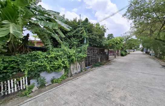 ขาย ที่ดิน รามอินทรา 39 สุขาภิบาล 5 ซอย 6 ขนาด 100 ตร.วา ใกล้รถไฟฟ้ารามอินทรากม4 ตลาดมงคลไชย เหมาะสร้างบ้าน