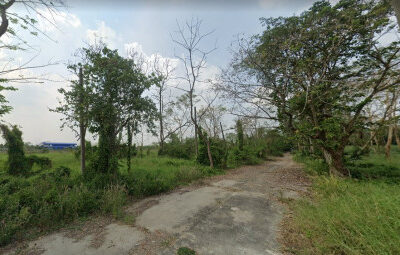 ขาย ที่ดิน 66 ตร.วา คลอง 8 อ.ธัญบุรี ปทุมธานี แปลงจัดสรร (รังสิตการ์เด้น) ห่างจาก ถ. รังสิต-นครนายก เพียง 750 ม.