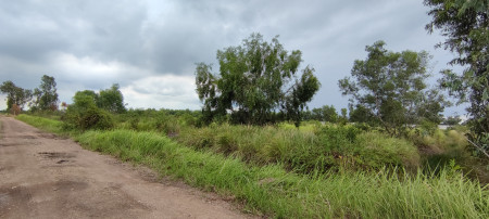 ขาย ที่ดิน 2 ไร่ คลอง 14 หนองเสือ ปทุมธานี ใกล้ถนนเลียบคลอง 14 เจ้าของขายเอง