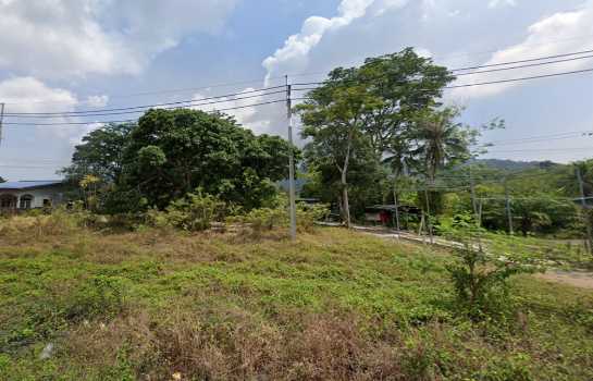 ขายที่ดิน ภูเก็ต ป่าคลอก 3.8 ไร่ ติดถนนใหญ่ 4 เลนส์ สายท่าเรือ-เมืองใหม่ ใกล้ทะเล สนามกอล์ฟ รพ.บำรุงราษฎร์ เหมาะทำโครงการพูลวิลล่า รีสอร์ท