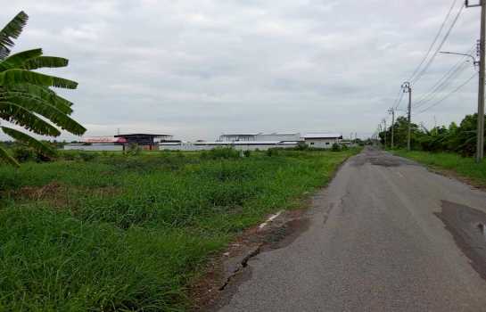 ขายที่ดิน 2 ไร่ ซอยเลียบคลองสิบสามฝั่งตะวันออก 34 ใกล้วัดป่าวิศรุตรัตนาราม